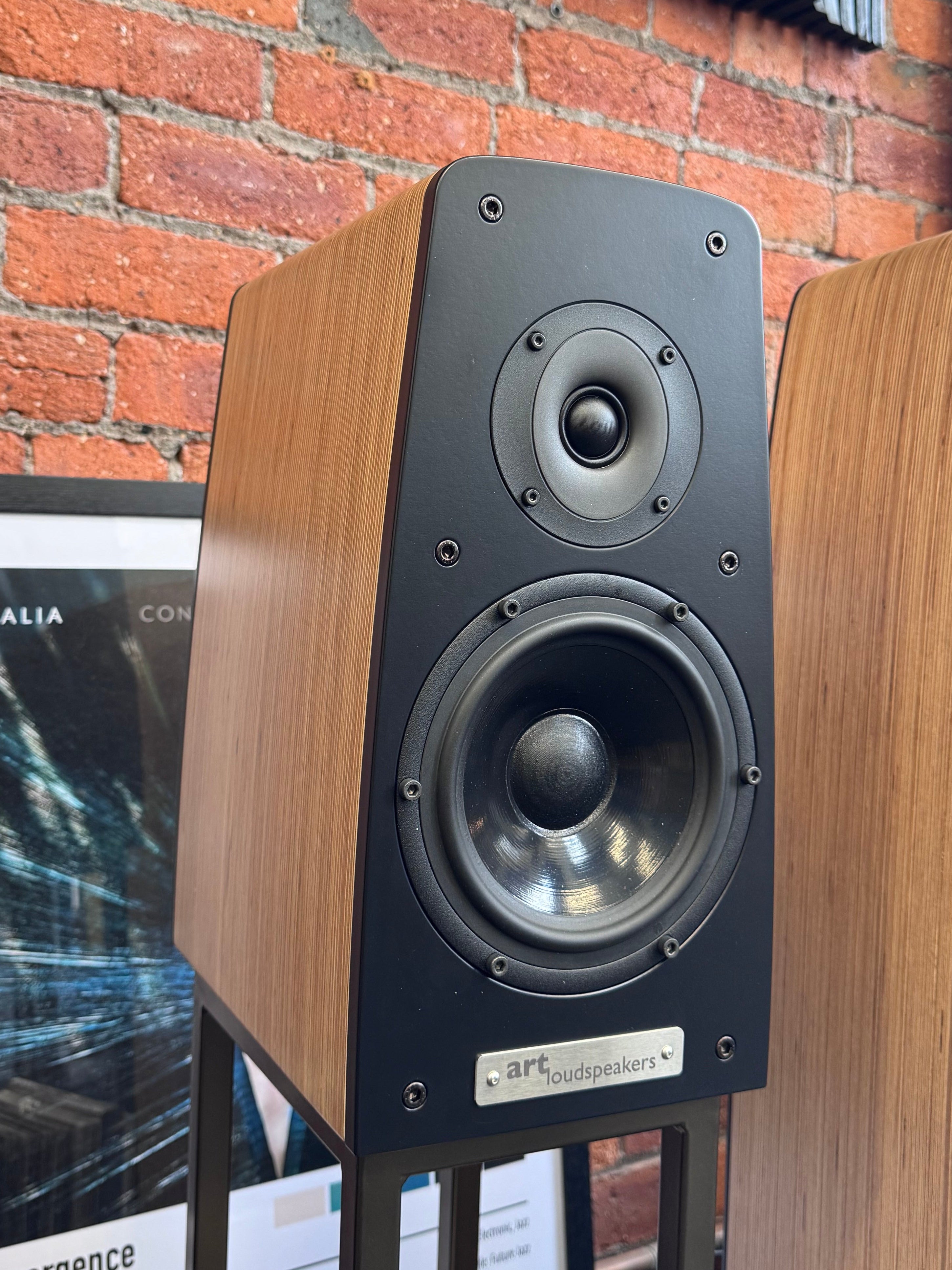 ART loudspeaskers Expression 6M standmount speakers