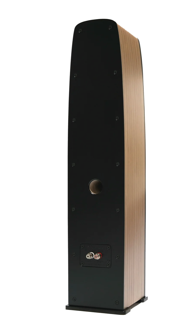 ART Loudspeakers Emotion Carbon 6 floorstanding speakers