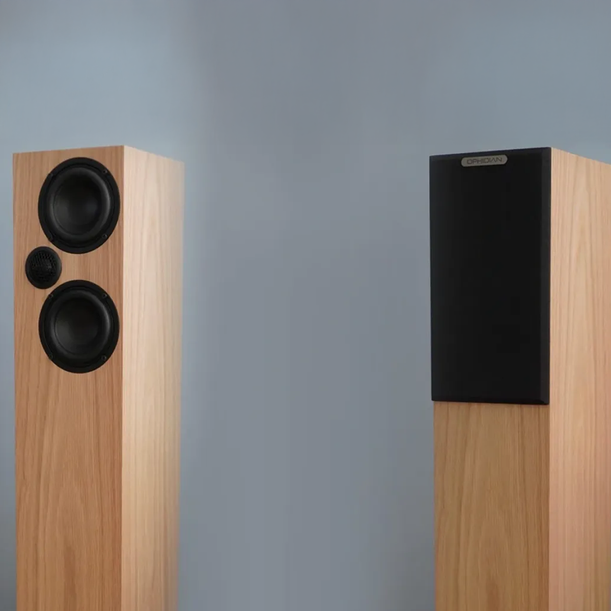 Ophidian Mambo 2 floorstanding speakers