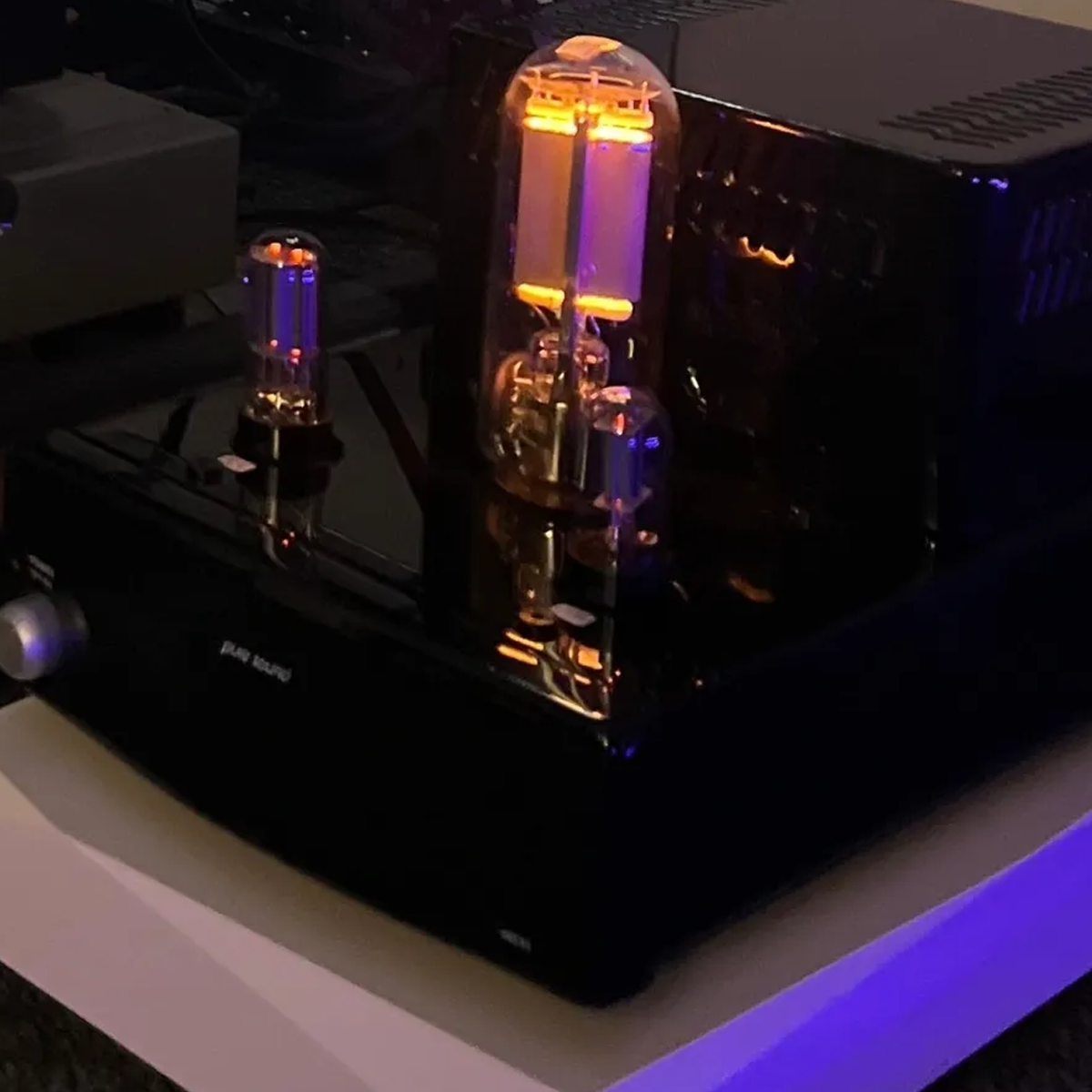 Puresound M845 Mono SET Tube Power Amplifiers (pair)