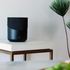 Bluesound Pulse M wireless speaker
